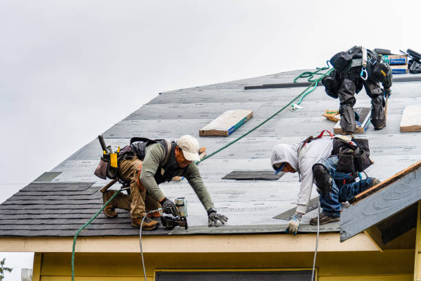Professional Flat Roof Repair technician working in Jamestown, CO